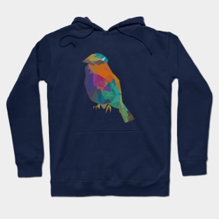 Polygonal Bird Hoodie